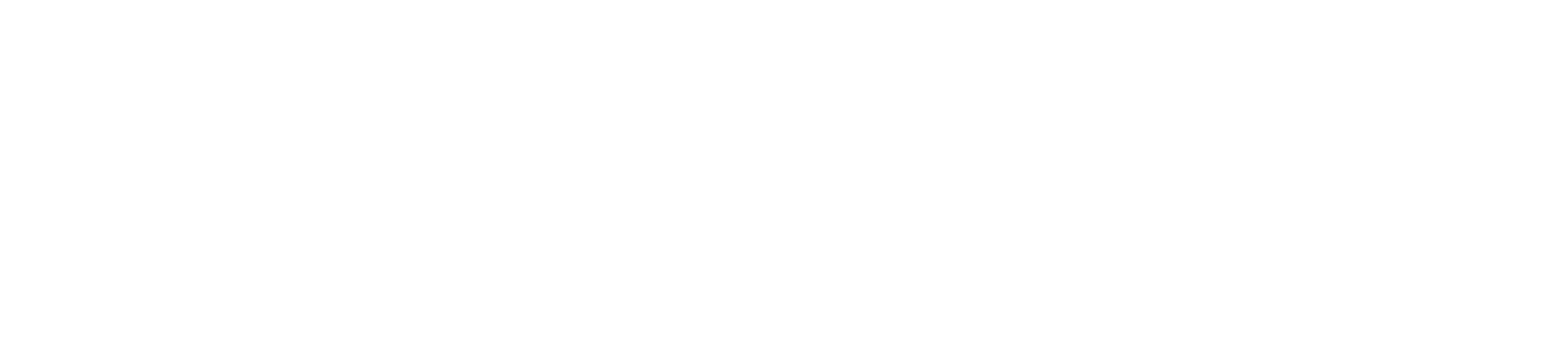 AUDA-NEPAD Logo
